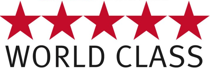 Effectiveness equals Efficiency? How to become “world-class” at nothing.