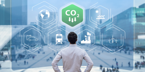 sustainability carbon footprint