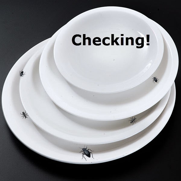 Testing versus Checking