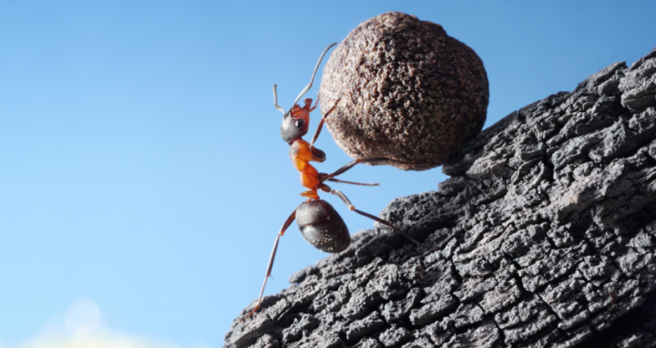Understanding Today’s Supply Chain Complexity: There’s No Substitute for Hard Work!