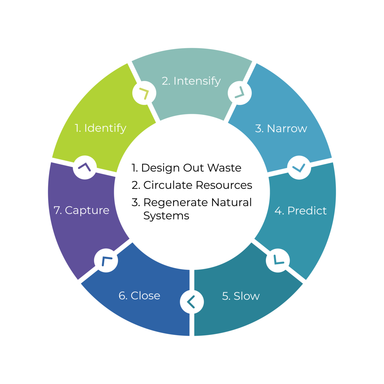 circular supply chain case study