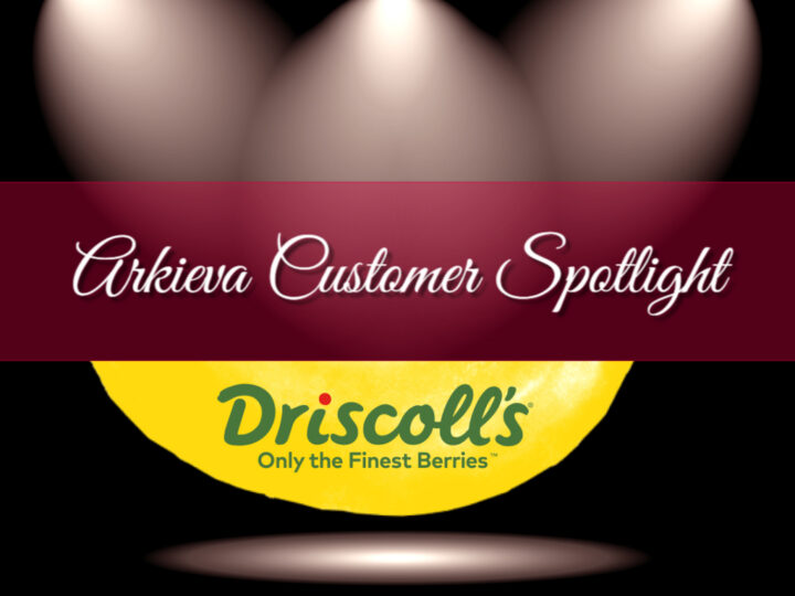 Arkieva Customer Spotlight: Driscoll’s is Evolving Berry Production with Robot Cultivation and Substrate Farming