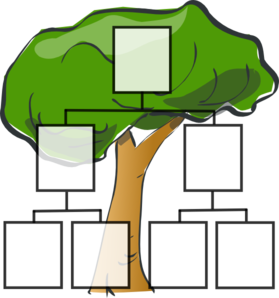 The Family Tree of MAPE