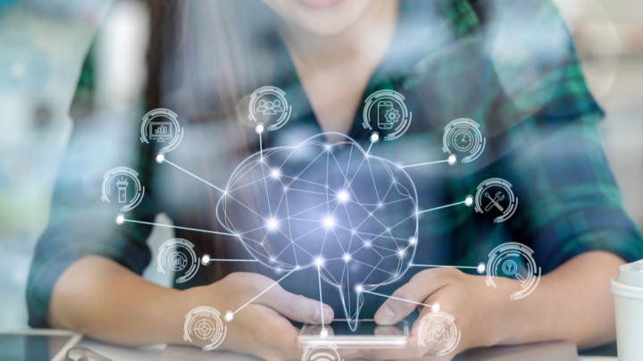 Executive Perceptions of Machine Learning and Data Anomalies