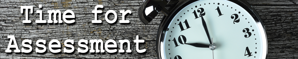 Supply chain efficiency assessment