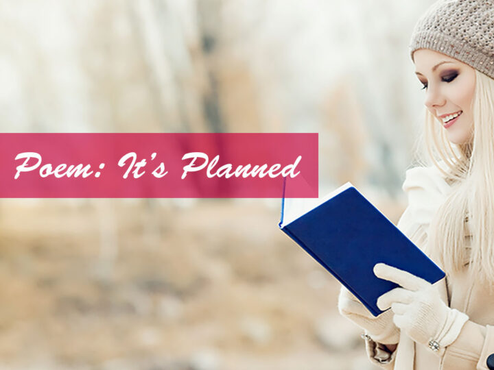 It’s Planned – A Supply Chain Planning Poem